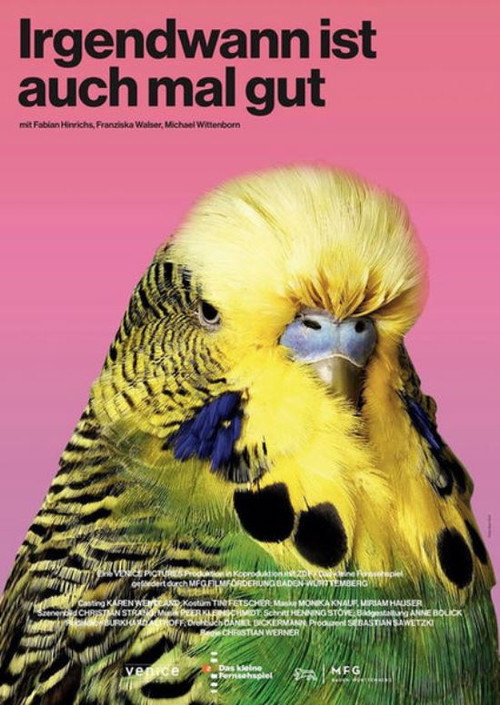 Irgendwann ist auch mal gut — постер
