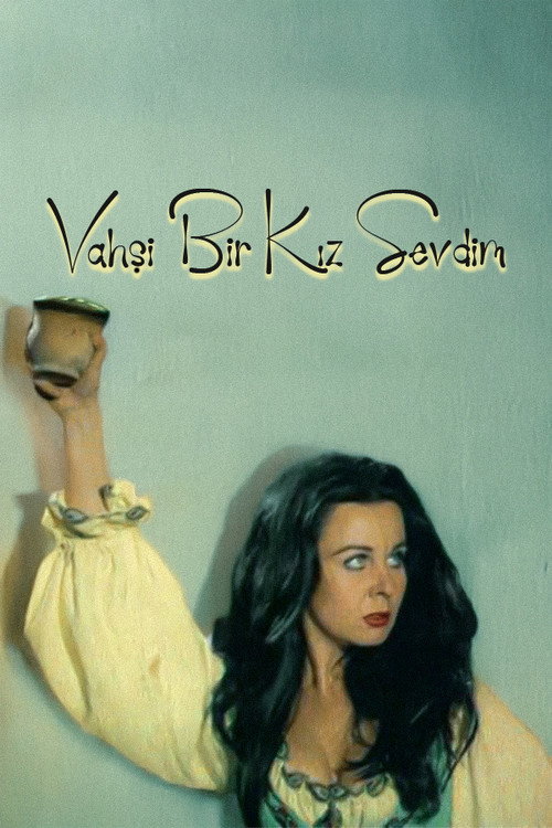 Vahşi Bir Kız Sevdim — постер