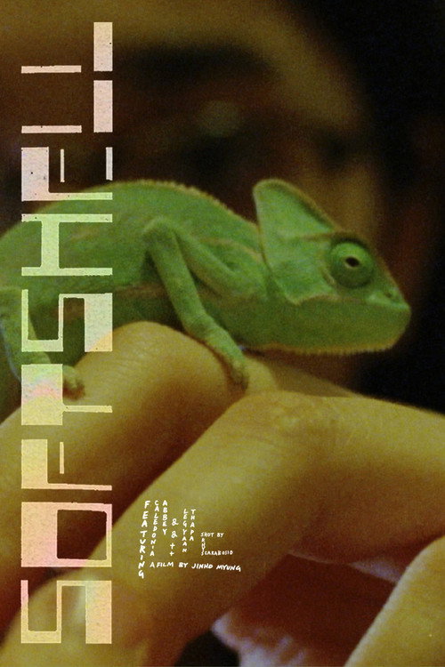 Softshell — постер