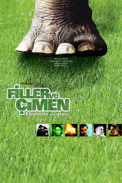 Filler ve Çimen — постер