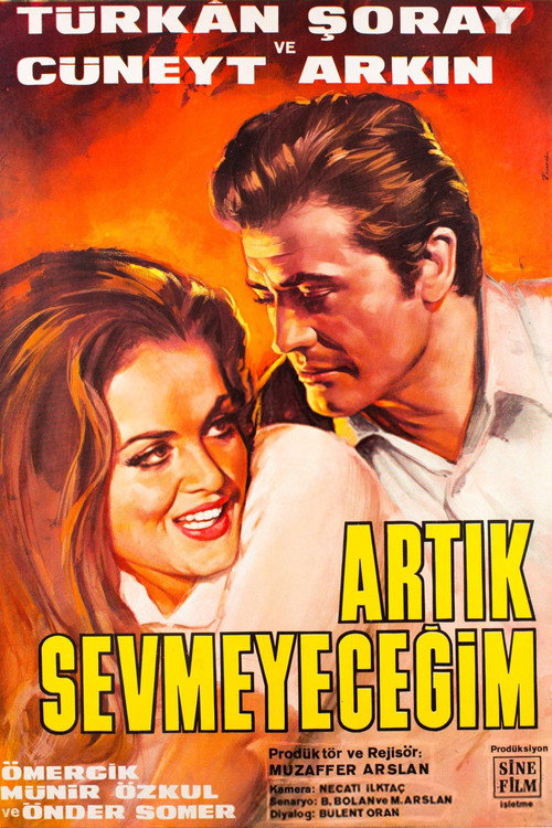 Artık Sevmeyeceğim — постер