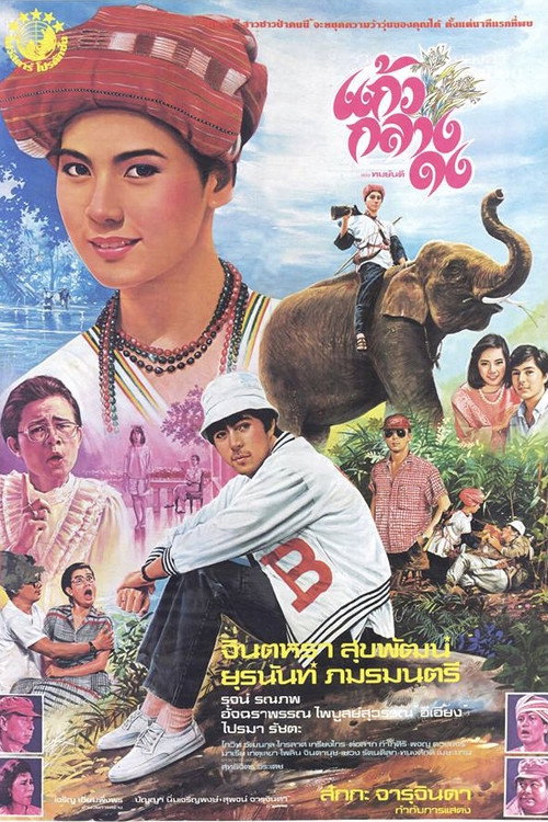 แก้วกลางดง — постер