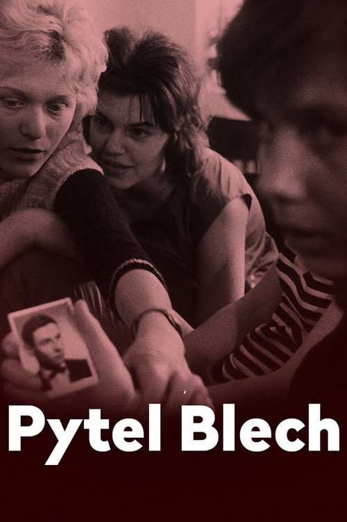 Pytel blech — постер