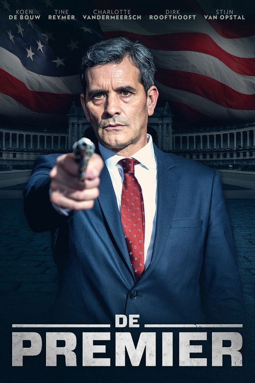 Премьер — постер