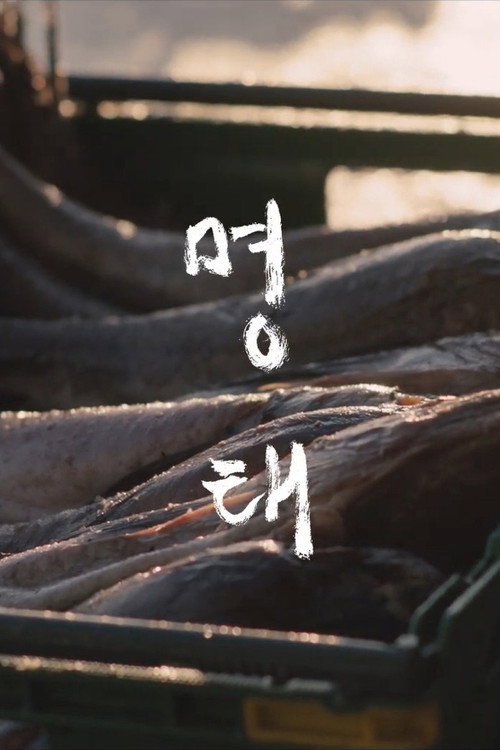 명태 — постер