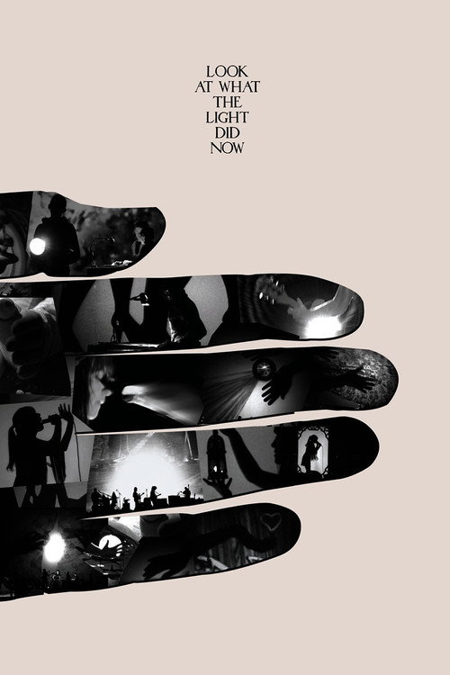 Look at What the Light Did Now — постер