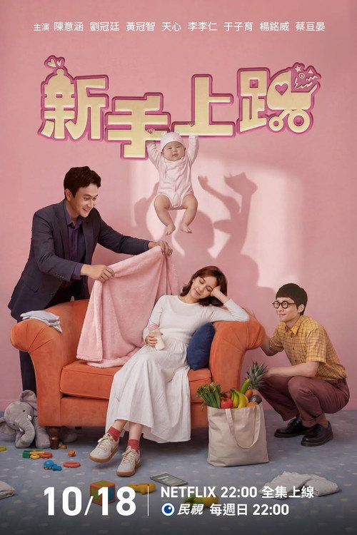 新手上路 — постер
