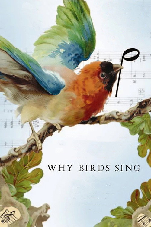 Why Birds Sing — постер