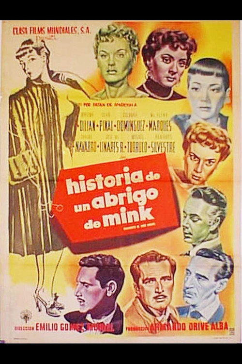Historia de un abrigo de mink — постер