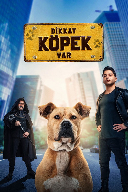 Dikkat Köpek Var — постер