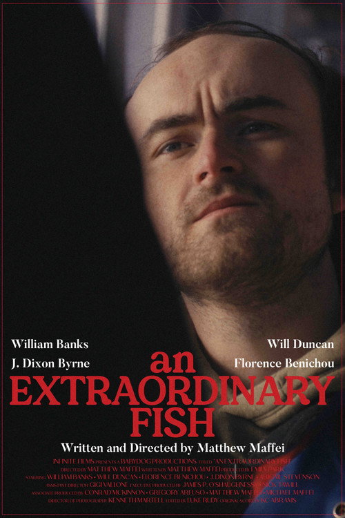 An Extraordinary Fish — постер