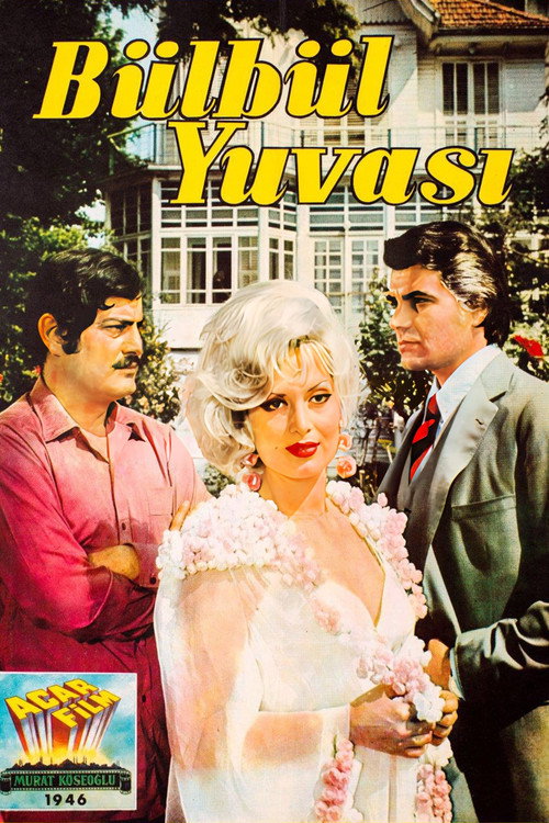 Bülbül Yuvası — постер