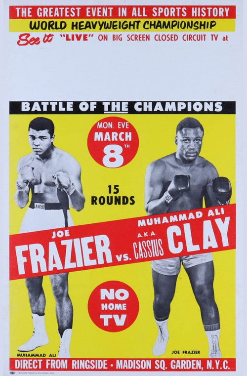 Fight of the Century — постер