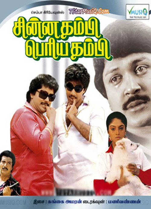 சின்னதம்பி பெரியதம்பி — постер