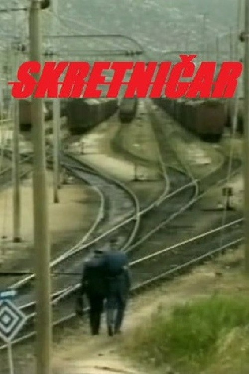 Skretničar — постер
