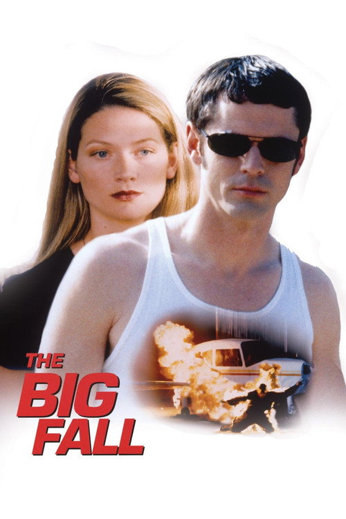 The Big Fall — постер