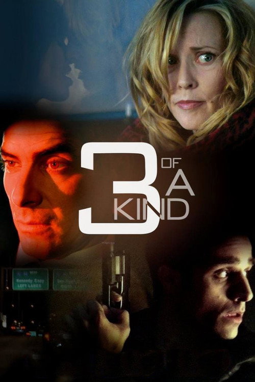 3 of a Kind — постер
