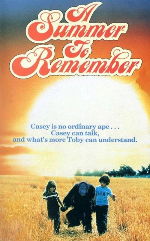 A Summer to Remember — постер
