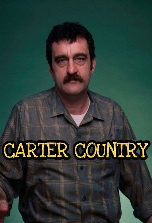 Carter Country — постер