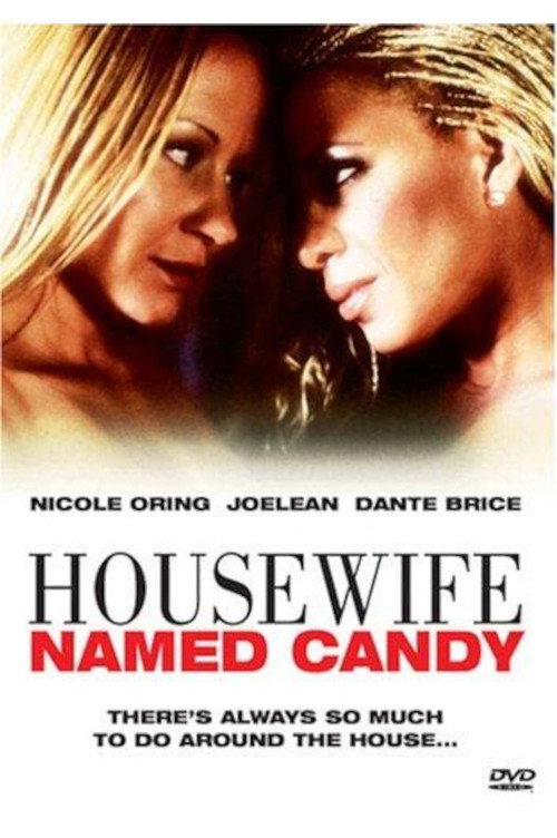 A Housewife Named Candy — постер