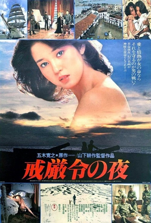 戒厳令の夜 — постер