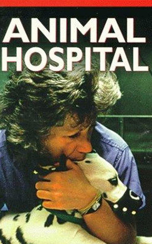 Animal Hospital — постер