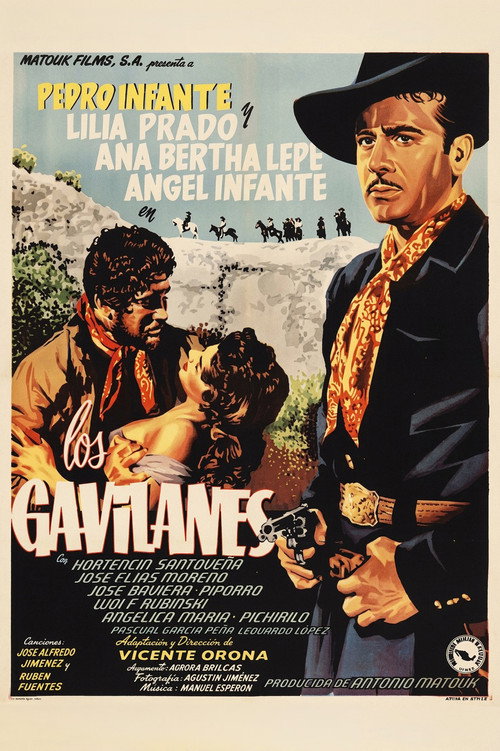 Los Gavilanes — постер