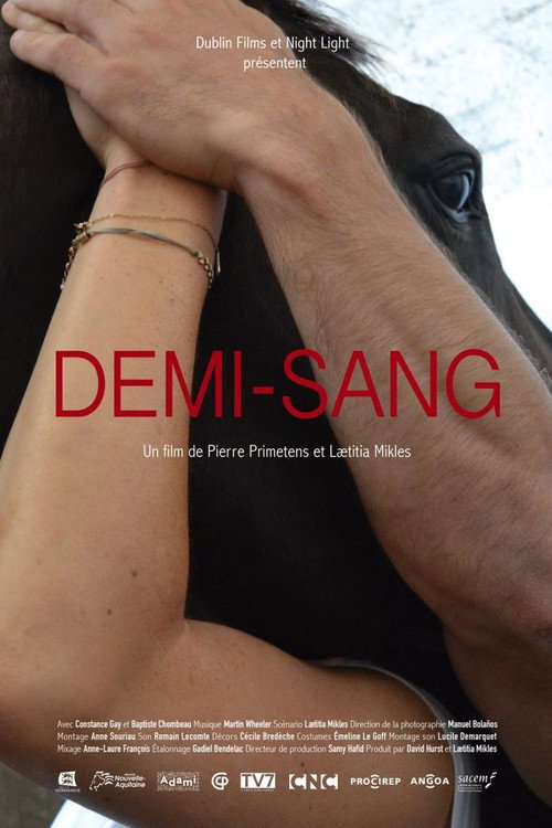Demi-Sang — постер