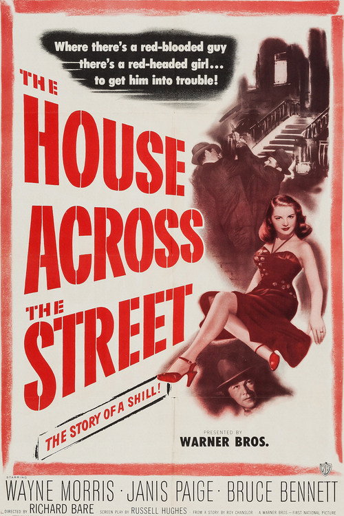 The House Across the Street — постер