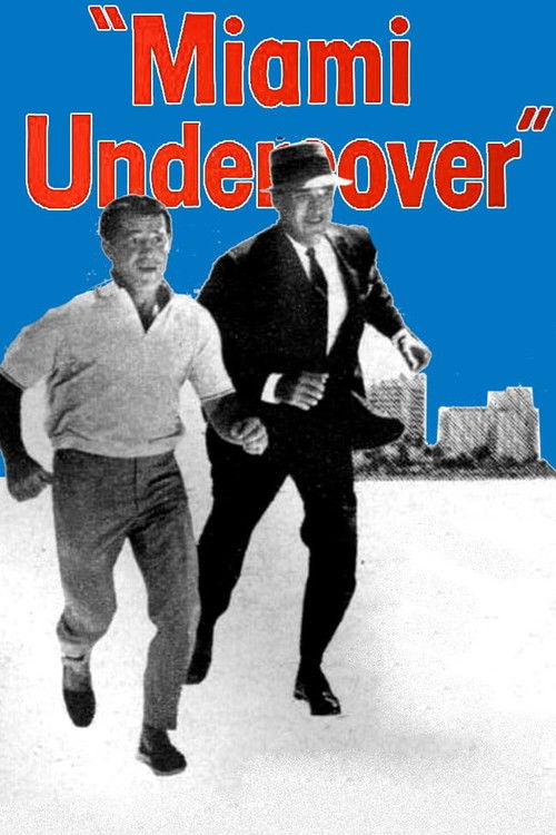 Miami Undercover — постер
