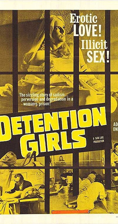 The Detention Girls — постер