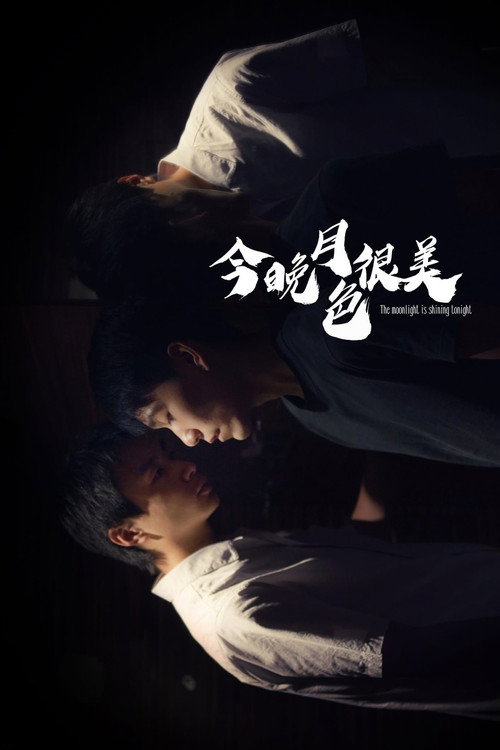 今晚月色很美 — постер