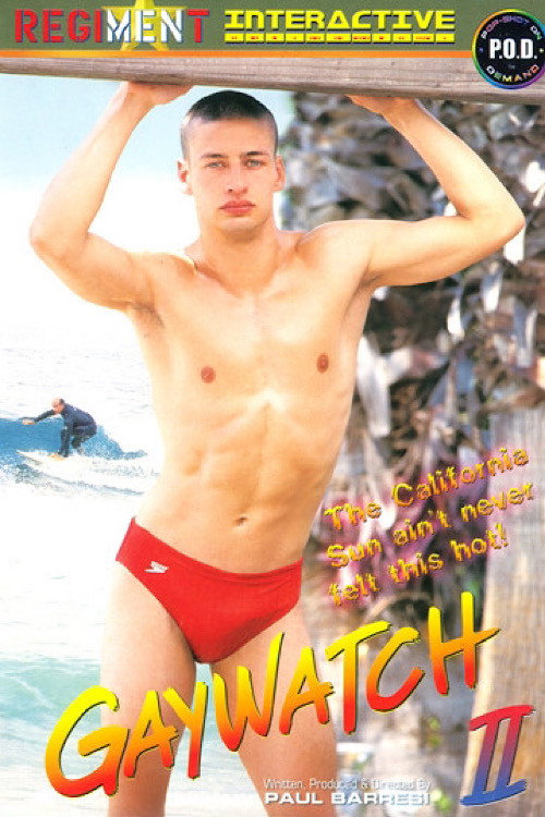 Gaywatch 2 — постер
