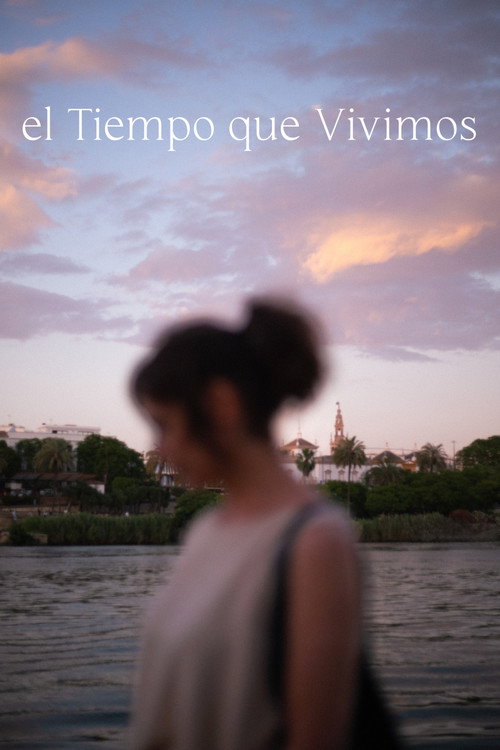 El Tiempo que Vivimos — постер