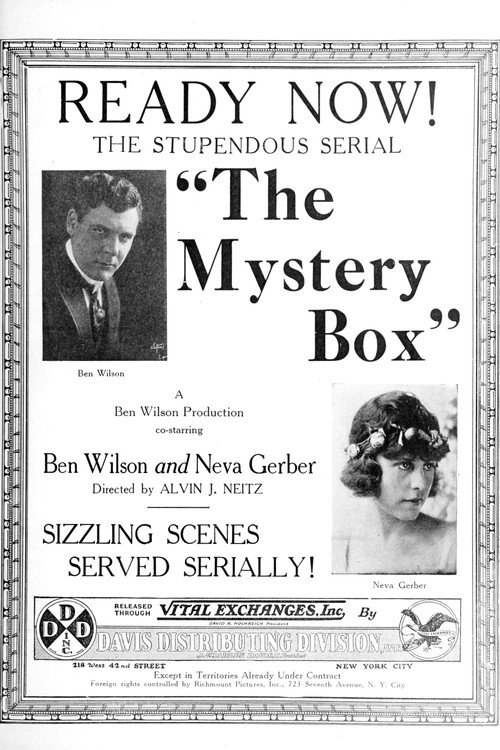 The Mystery Box — постер