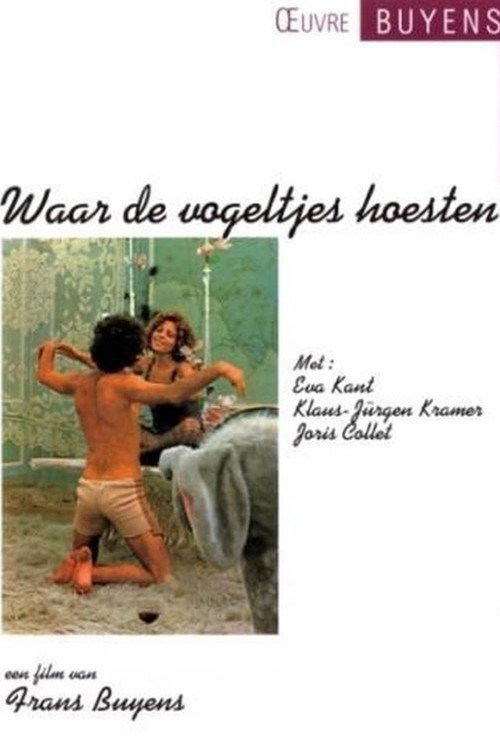 Waar de vogeltjes hoesten — постер