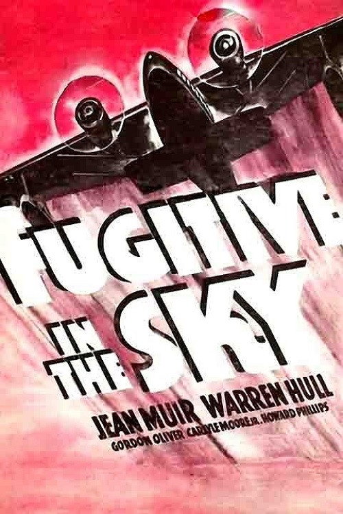 Fugitive in the Sky — постер