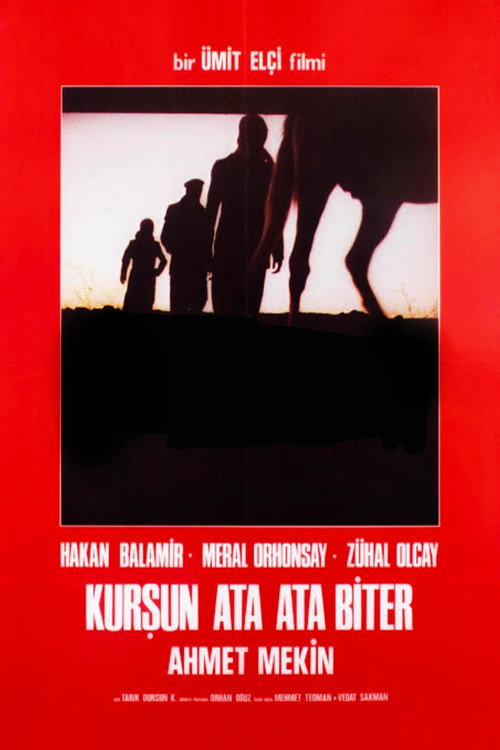Kurşun Ata Ata Biter — постер