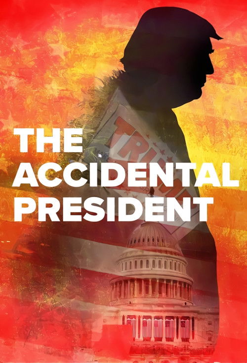 The Accidental President — постер