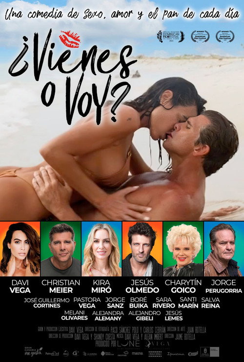 Vienes o Voy? — постер