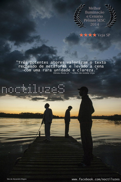 Noctiluzes — постер