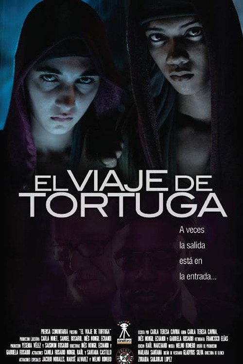 El viaje de Tortuga — постер