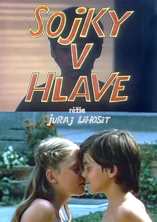 Sojky v hlave — постер