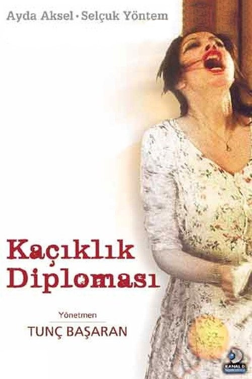 Kaçıklık Diploması — постер