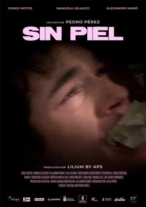 Sin Piel — постер