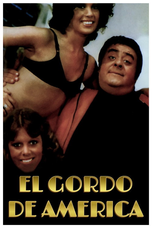 El gordo de América — постер