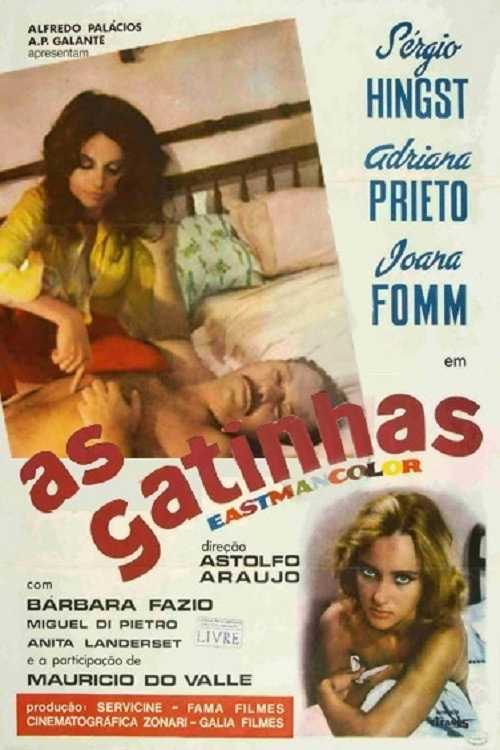 As Gatinhas — постер