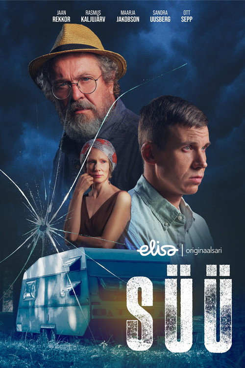 Süü — постер