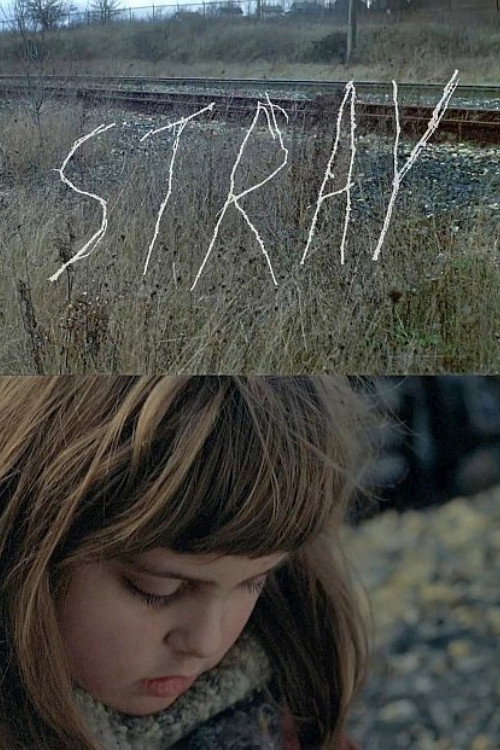 Stray — постер