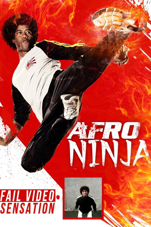 Afro Ninja — постер